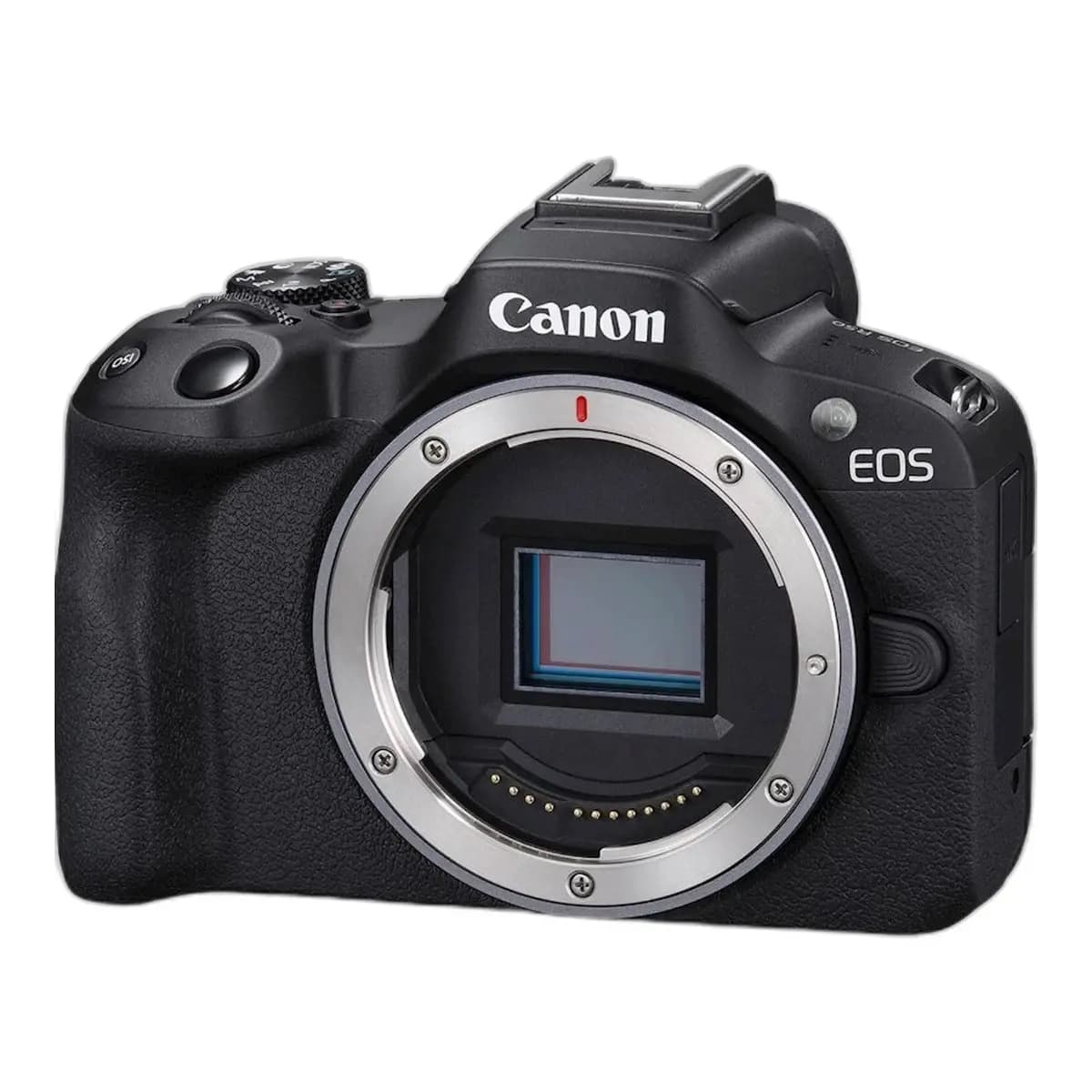 Canon EOS R50 Body 24.2MP 4K Video Dual Pixel AF II