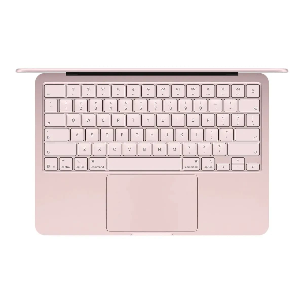APPLE Laptop MacBook Air 13 NEO, A18 Pro 6C CPU, 5C GPU, 8GB RAM, 256GB SSD