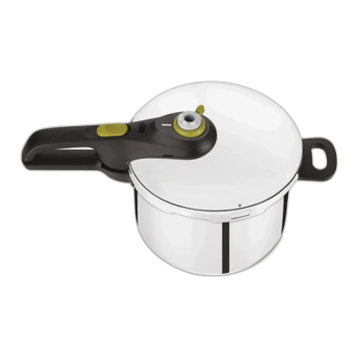 TEFAL Ekspres lonac P2580701 6L