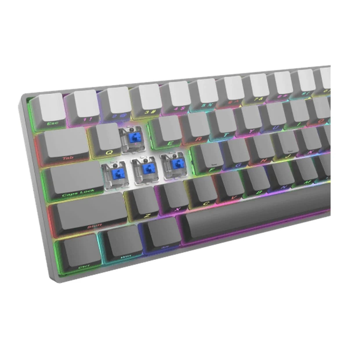 WHITE SHARK Tastatura Mehanicka NUNCHAKU, USB, Blue Switch, 60%, RGB LED