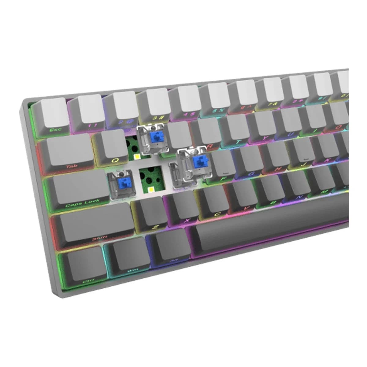 WHITE SHARK Tastatura Mehanicka NUNCHAKU, USB, Blue Switch, 60%, RGB LED