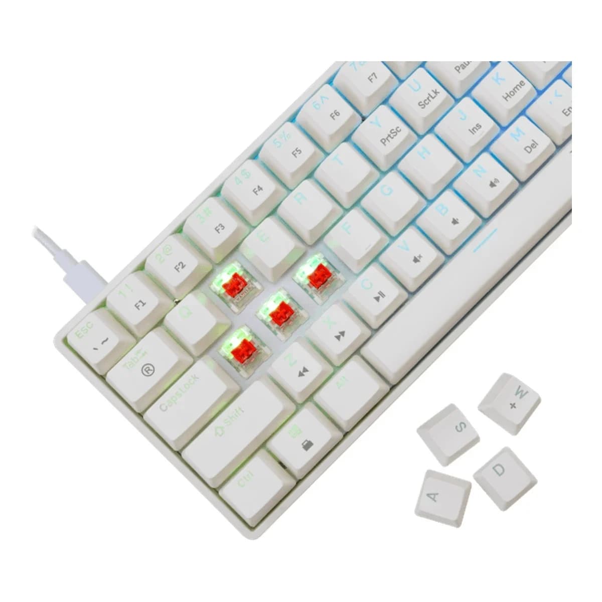 WHITE SHARK Tastatura Mehanicka SHINOBI-2, USB, Red Switch, 60%, RGB Osvjetljenje