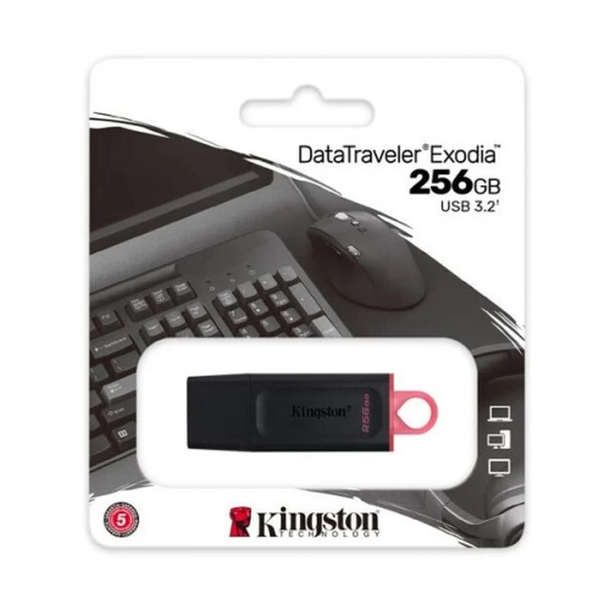 KINGSTON USB Stik DataTraveler Exodia, 256GB, USB 3.2 Gen 1, Type-A, Keyring Loop