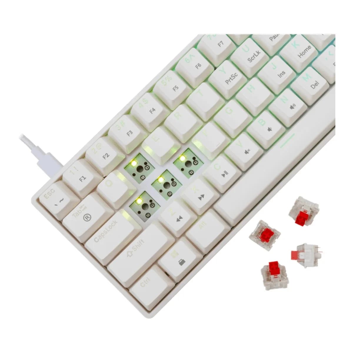 WHITE SHARK Tastatura Mehanicka SHINOBI-2, USB, Red Switch, 60%, RGB Osvjetljenje