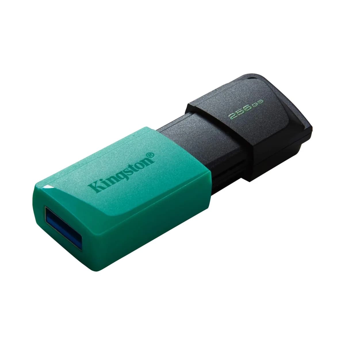 KINGSTON USB Flash Memorija DataTraveler Exodia M DTXM/256GB, 256GB, USB 3.2 Gen 1