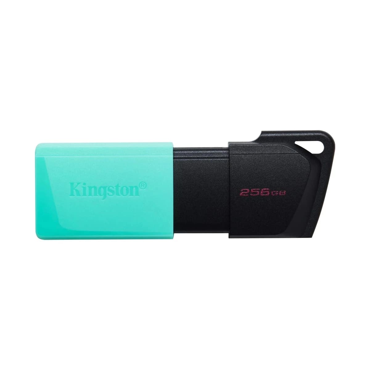 KINGSTON USB Flash Memorija DataTraveler Exodia M DTXM/256GB, 256GB, USB 3.2 Gen 1