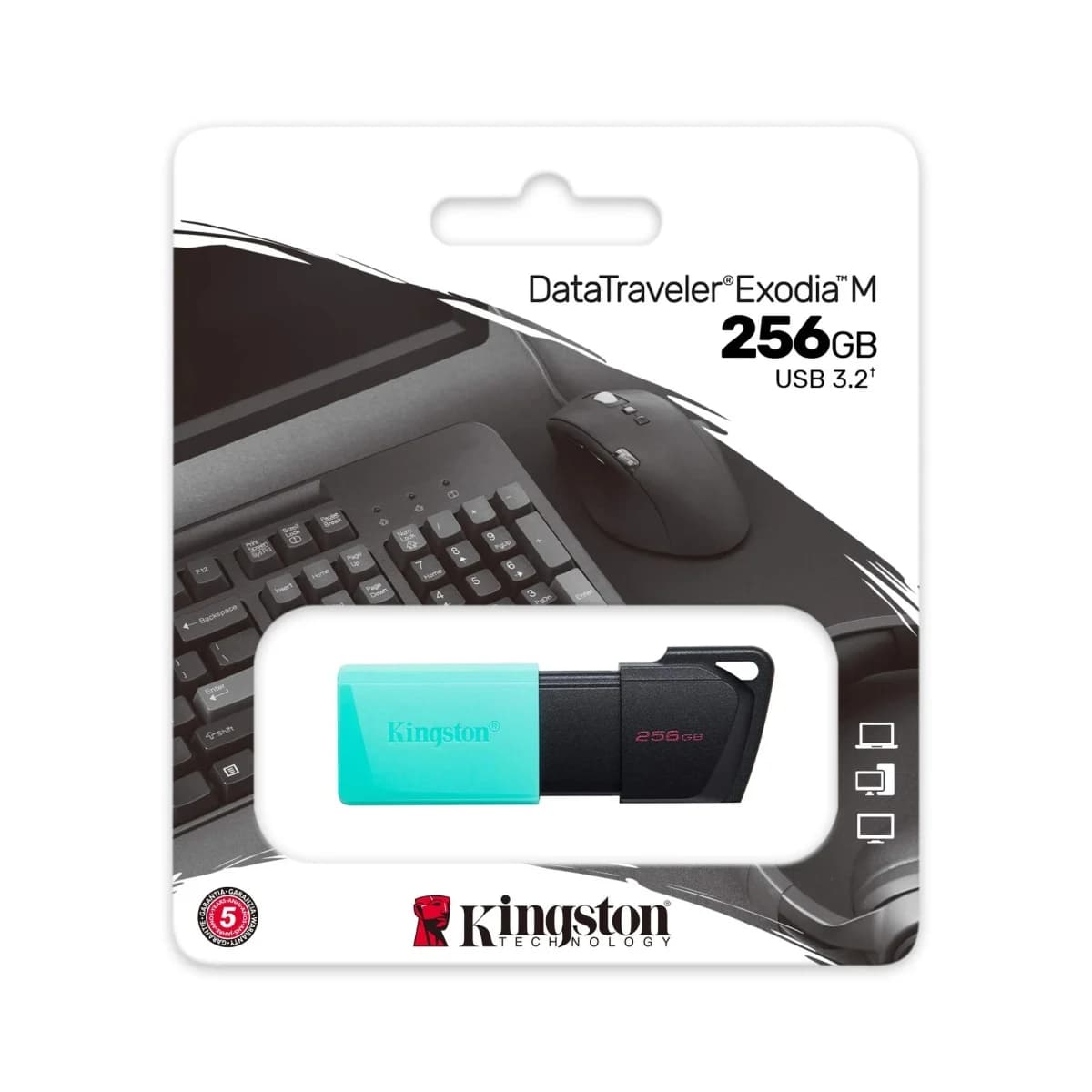 KINGSTON USB Flash Memorija DataTraveler Exodia M DTXM/256GB, 256GB, USB 3.2 Gen 1