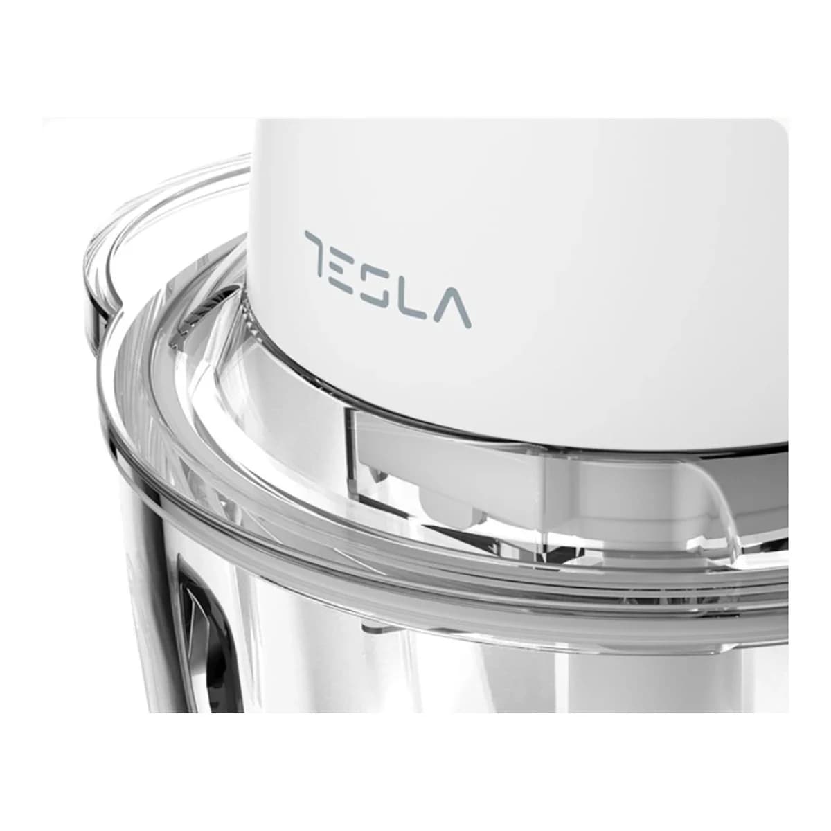 TESLA Sjeckalica FC302W, 400 W, 1 L, Staklena posuda, 4 inox oštrice