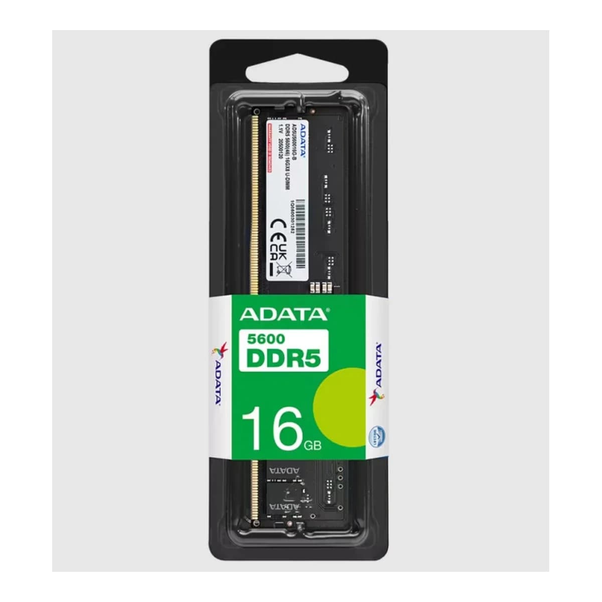 ADATA RAM Desktop 16GB DDR5 5600MHz, CL46, Premier UDIMM