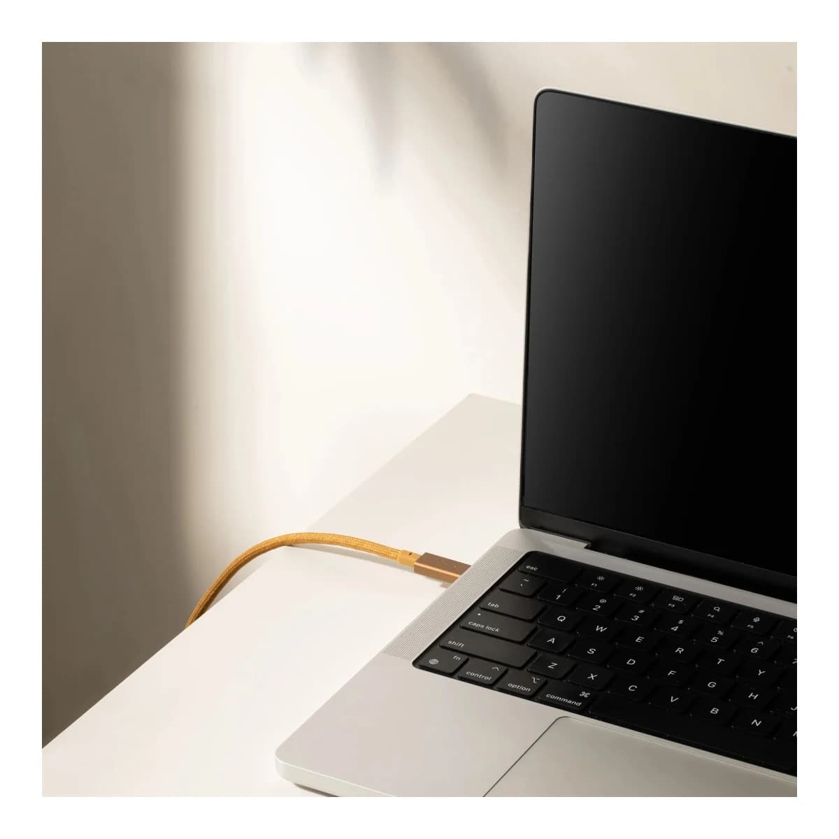NATIVE UNION USB-C Kabel Belt Cable Pro 240W 2,4m, USB-C na USB-C, Kraft