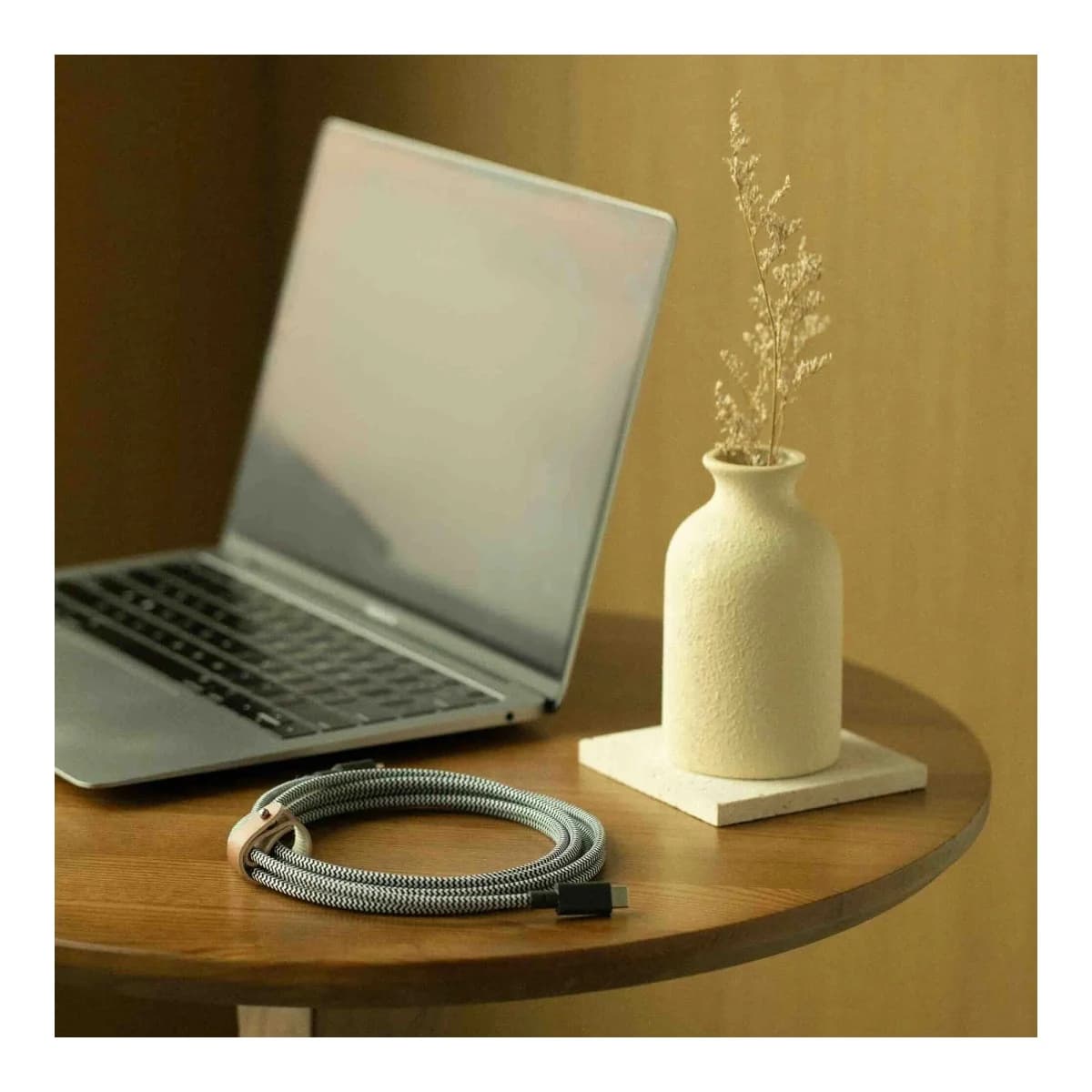 NATIVE UNION USB-C Kabel Belt Cable XL, 3m, USB-C na USB-C, Zebra
