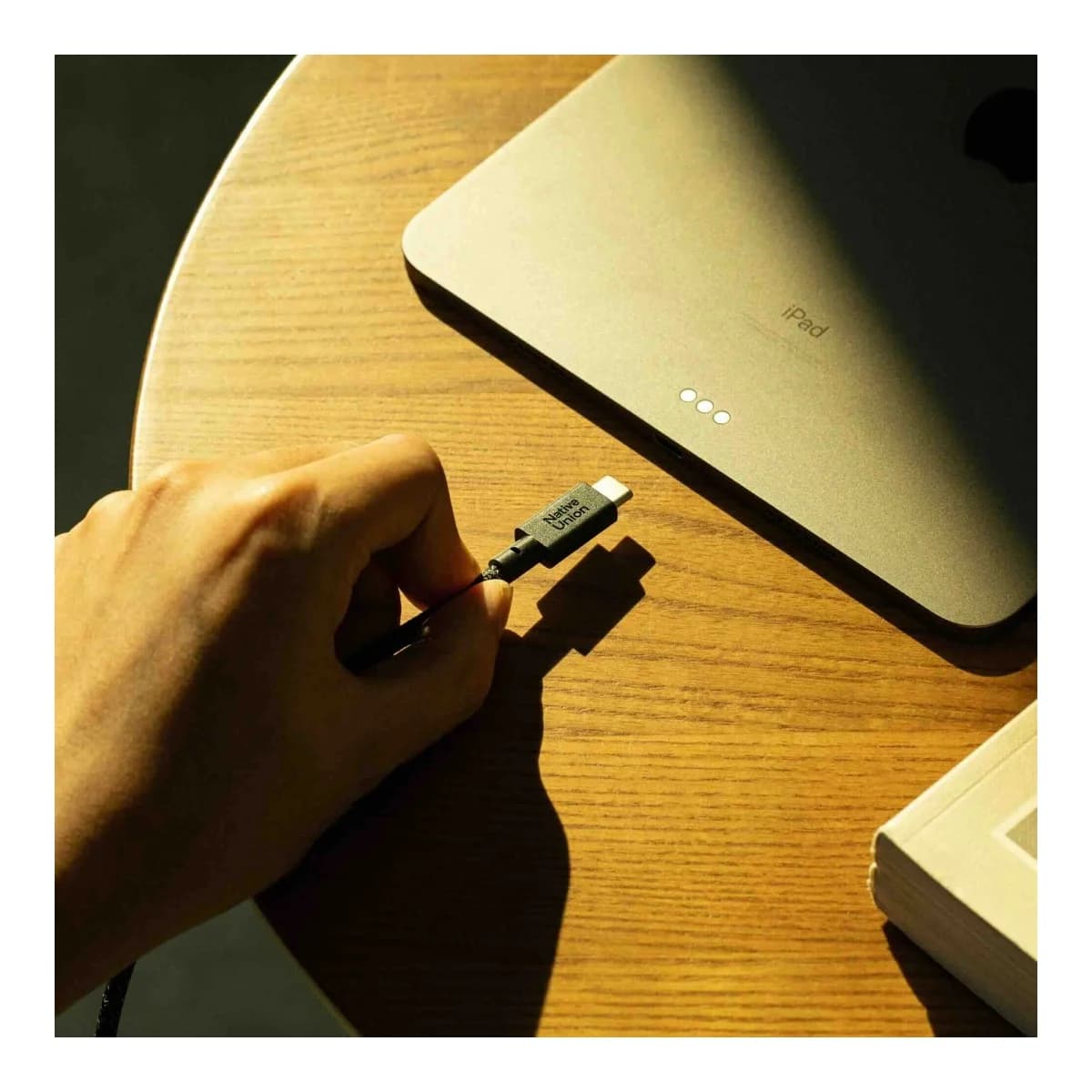 NATIVE UNION USB-C Kabl Belt Cable XL, 3m, USB-C na USB-C, Cosmos