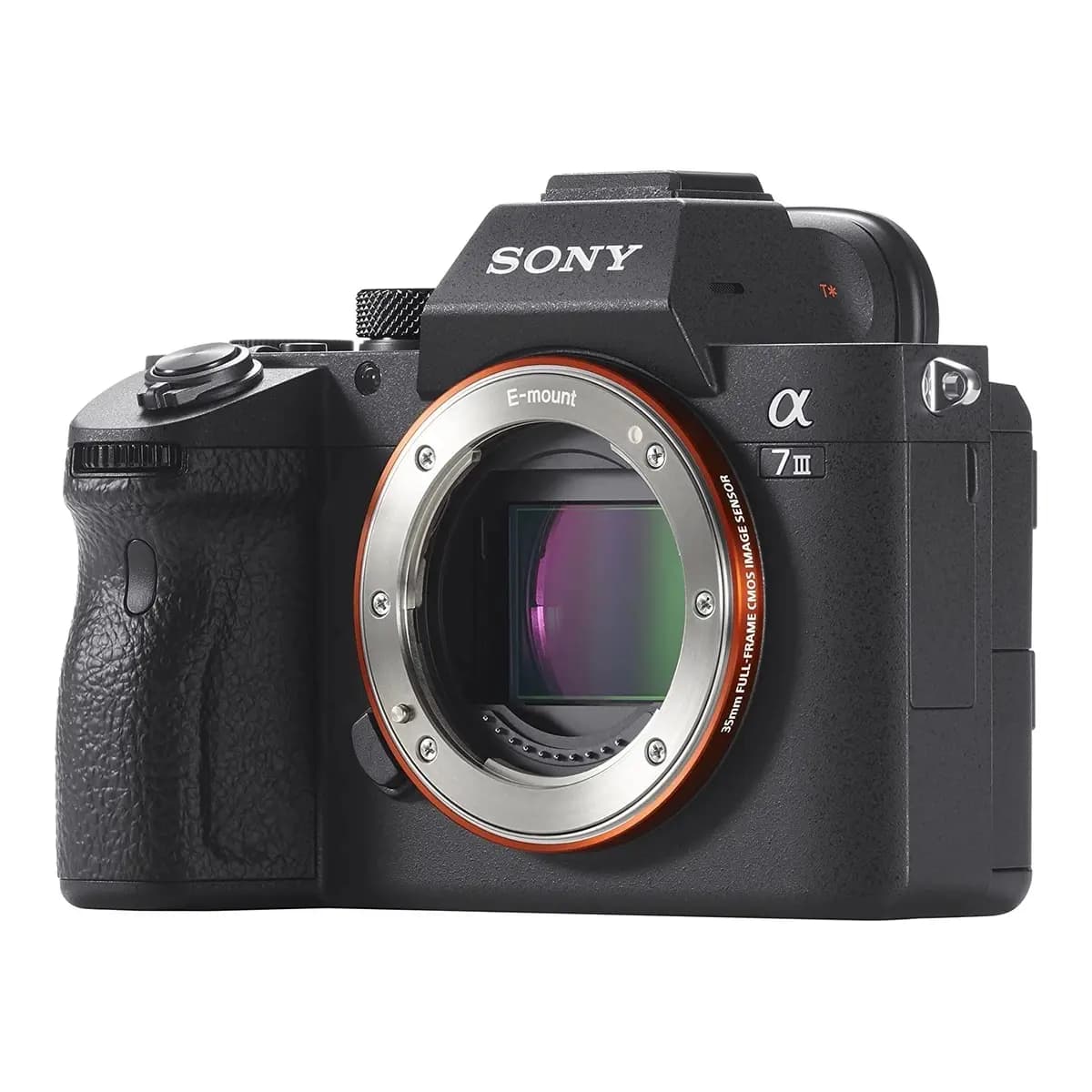 Sony Alpha a7 III Camera Body
